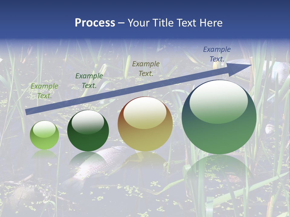 Garbage Destroyed Poisoned PowerPoint Template