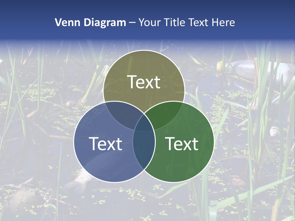Garbage Destroyed Poisoned PowerPoint Template