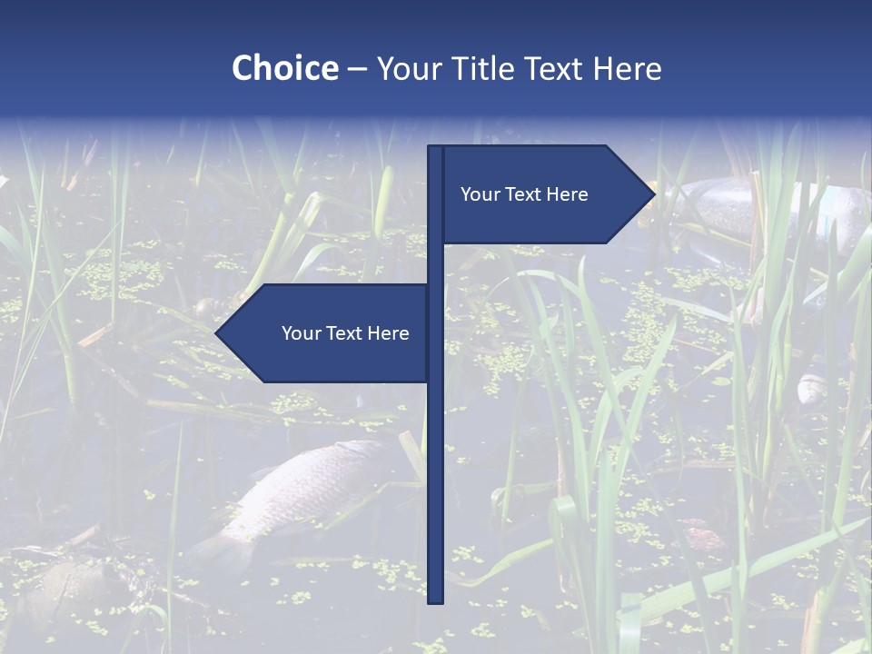 Garbage Destroyed Poisoned PowerPoint Template
