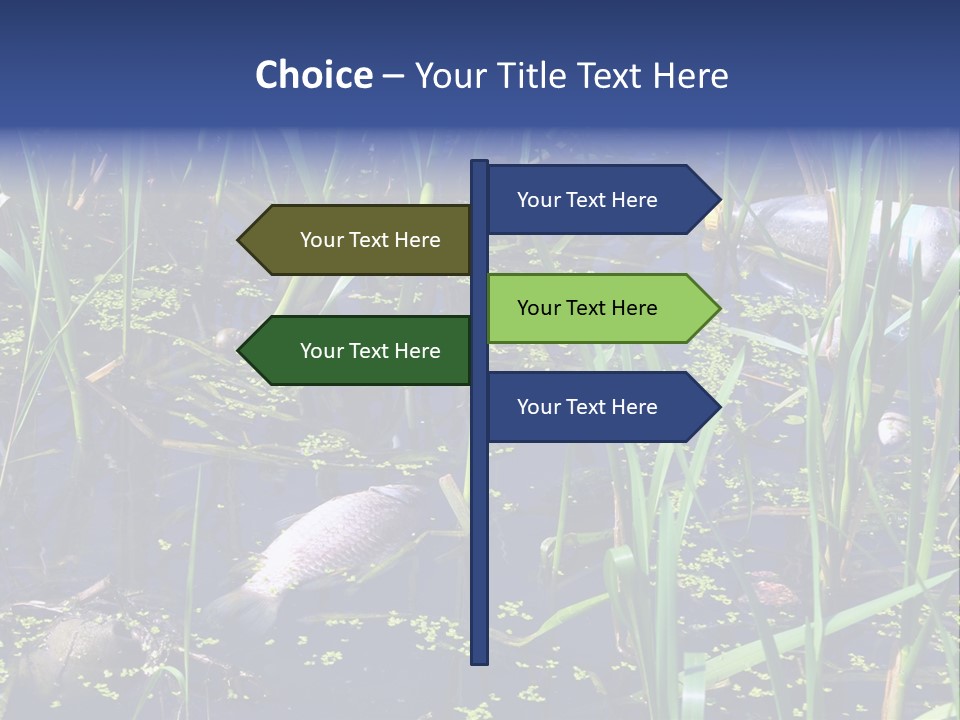 Garbage Destroyed Poisoned PowerPoint Template