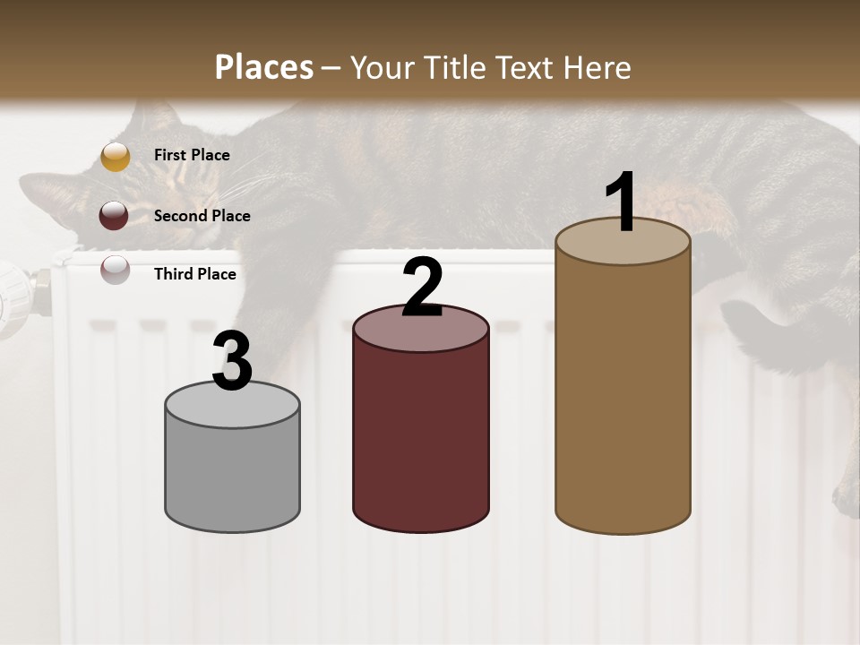 Relaxation Multi Colored Sleeping Cat PowerPoint Template