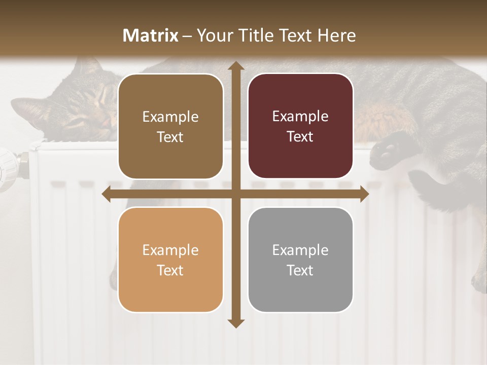 Relaxation Multi Colored Sleeping Cat PowerPoint Template