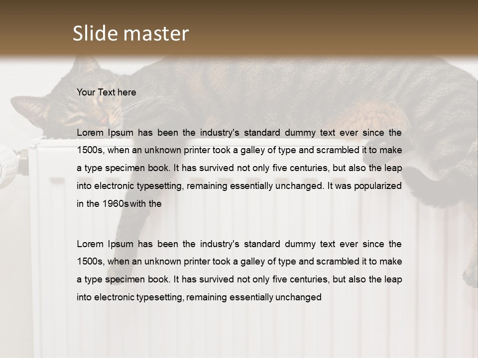 Relaxation Multi Colored Sleeping Cat PowerPoint Template