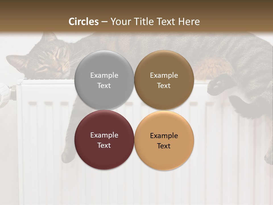 Relaxation Multi Colored Sleeping Cat PowerPoint Template