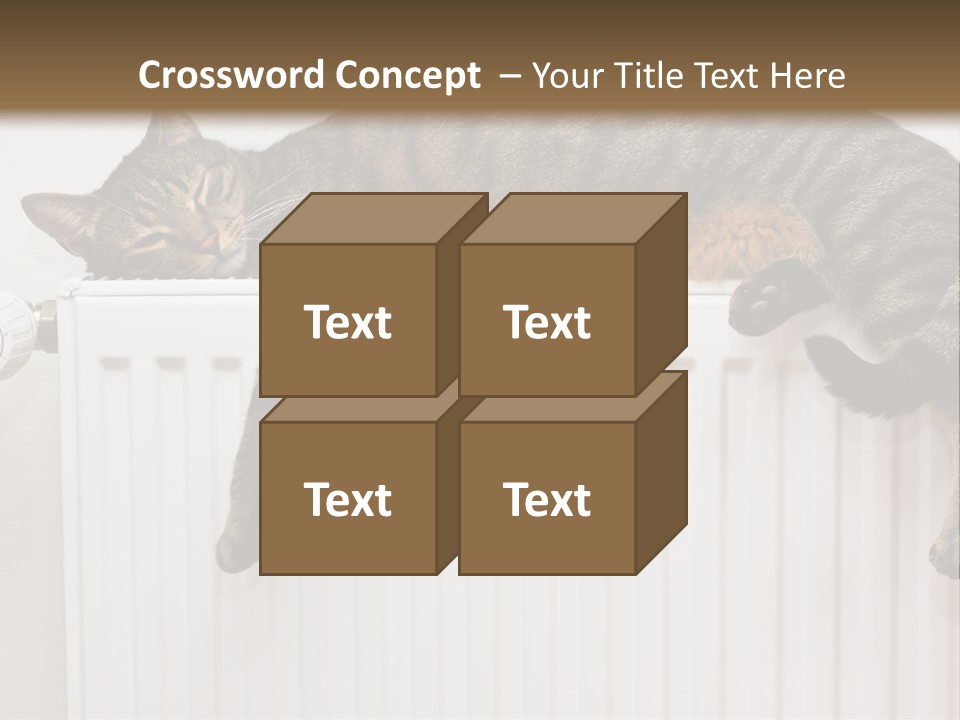 Relaxation Multi Colored Sleeping Cat PowerPoint Template