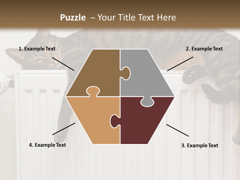 Relaxation Multi Colored Sleeping Cat PowerPoint Template