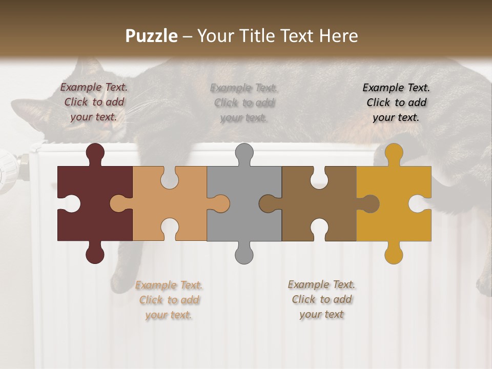 Relaxation Multi Colored Sleeping Cat PowerPoint Template