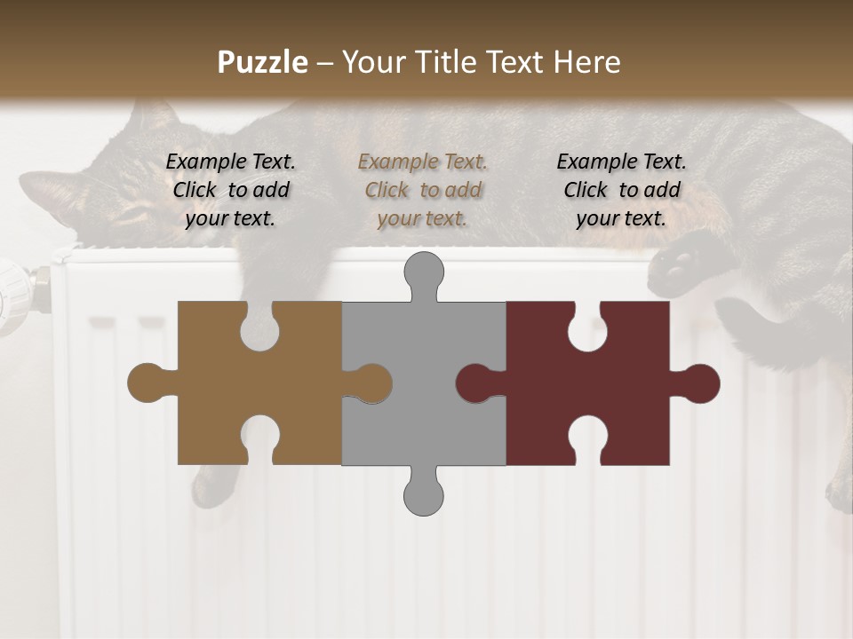 Relaxation Multi Colored Sleeping Cat PowerPoint Template