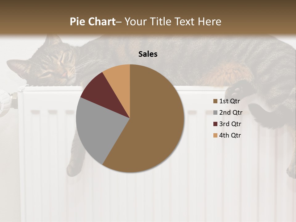 Relaxation Multi Colored Sleeping Cat PowerPoint Template