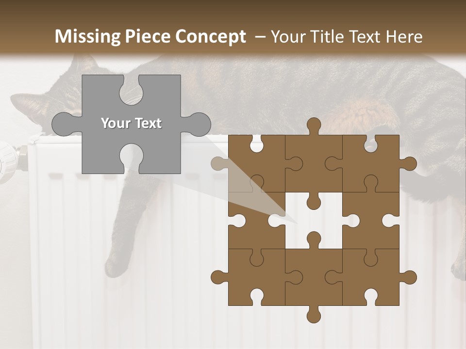 Relaxation Multi Colored Sleeping Cat PowerPoint Template