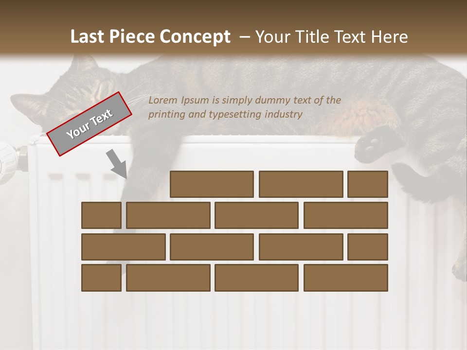 Relaxation Multi Colored Sleeping Cat PowerPoint Template