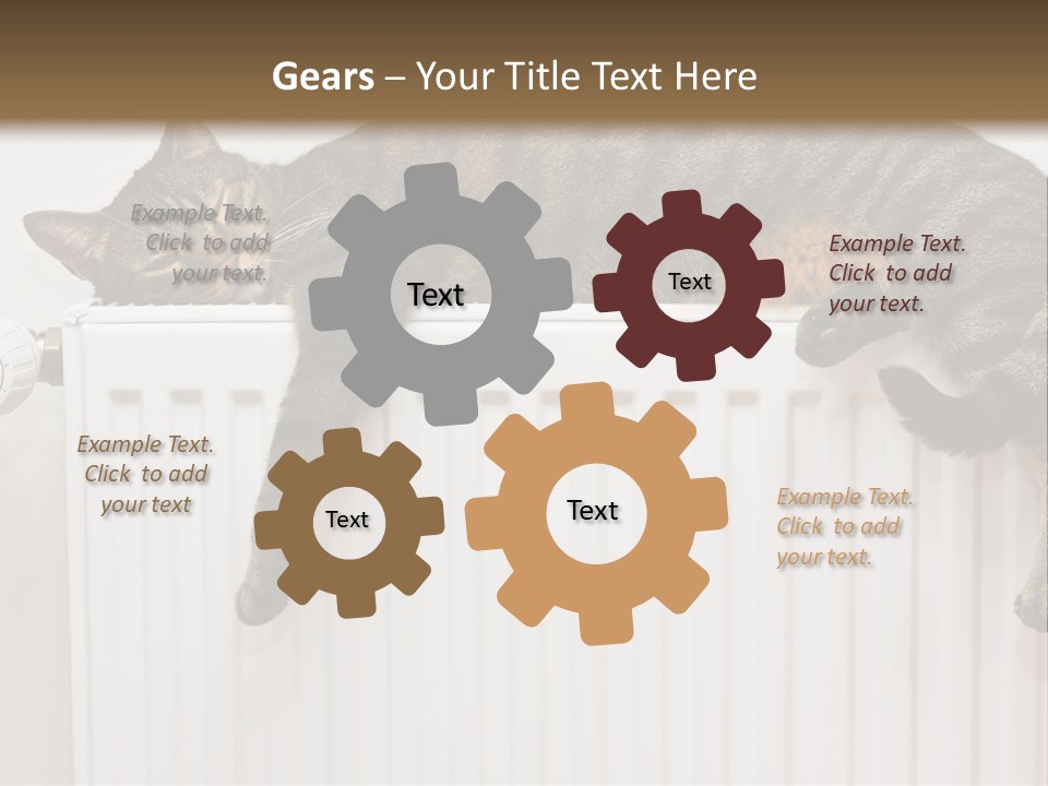 Relaxation Multi Colored Sleeping Cat PowerPoint Template