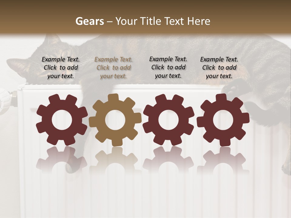 Relaxation Multi Colored Sleeping Cat PowerPoint Template