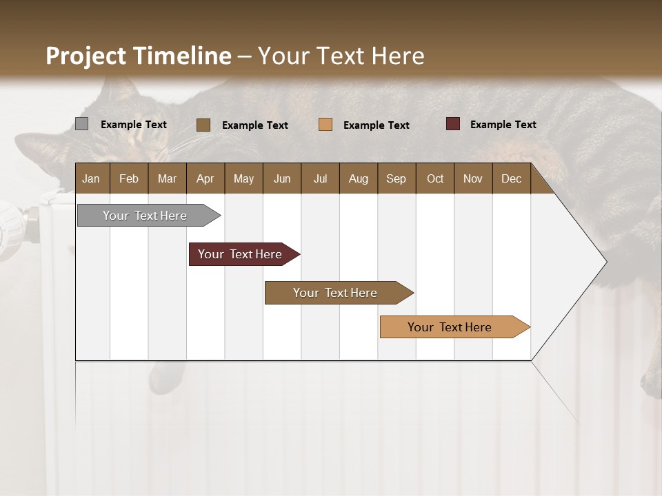 Relaxation Multi Colored Sleeping Cat PowerPoint Template