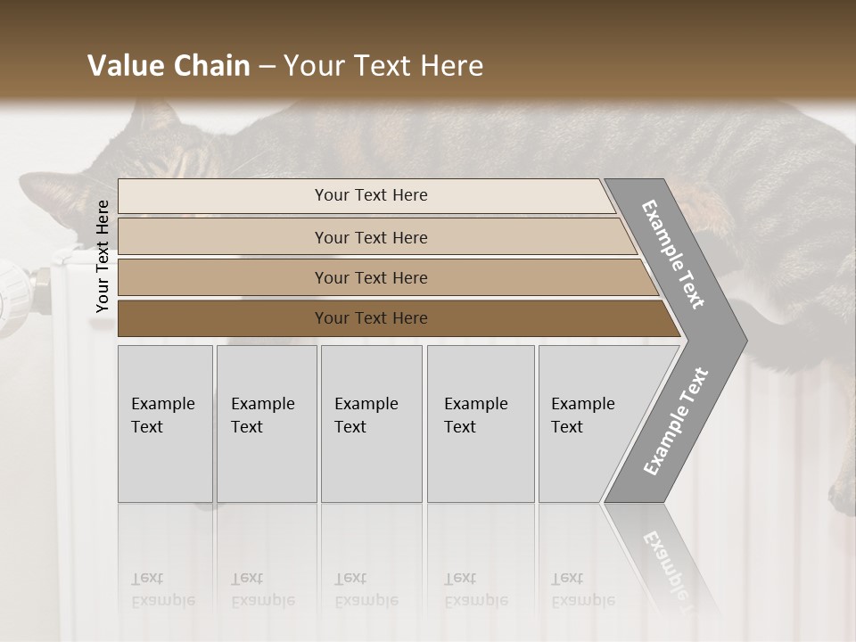 Relaxation Multi Colored Sleeping Cat PowerPoint Template