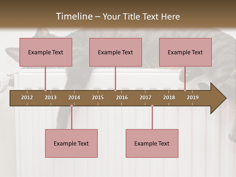Relaxation Multi Colored Sleeping Cat PowerPoint Template