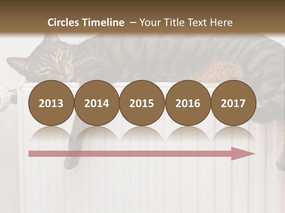 Relaxation Multi Colored Sleeping Cat PowerPoint Template