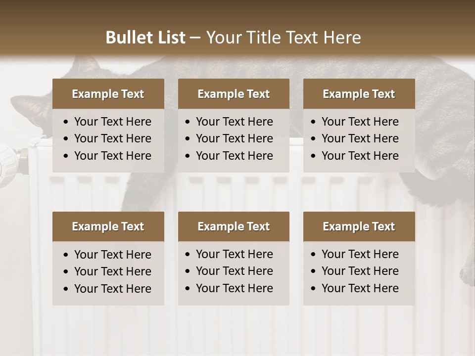 Relaxation Multi Colored Sleeping Cat PowerPoint Template