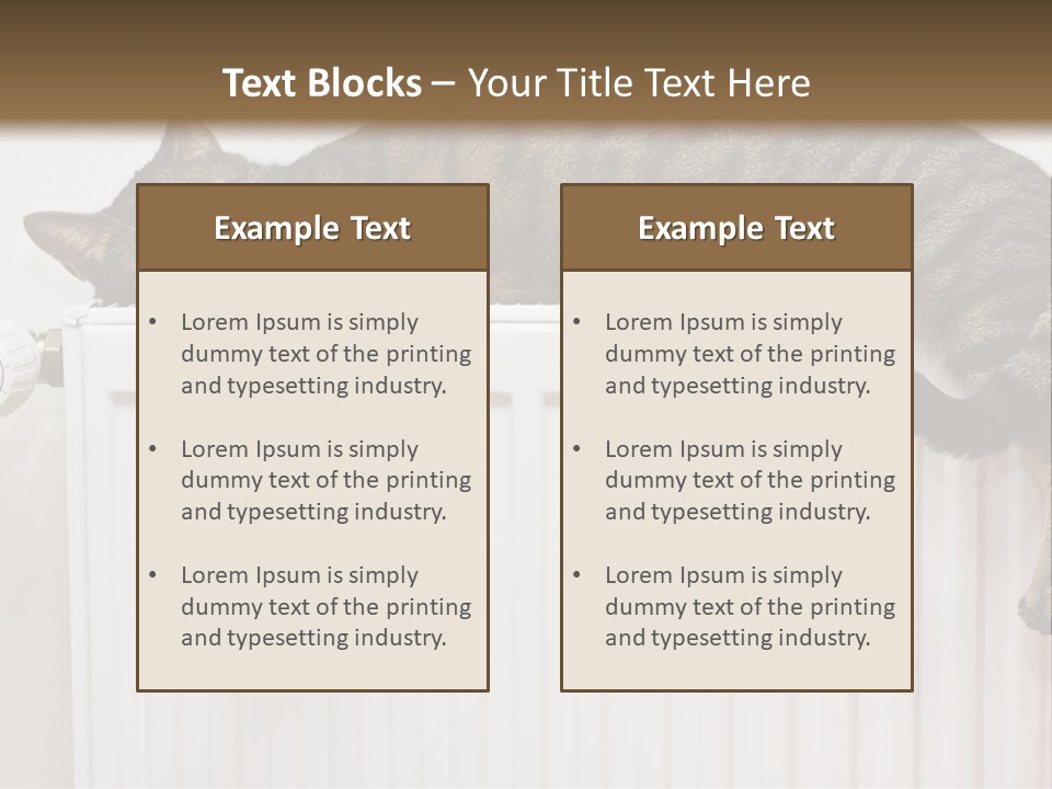 Relaxation Multi Colored Sleeping Cat PowerPoint Template