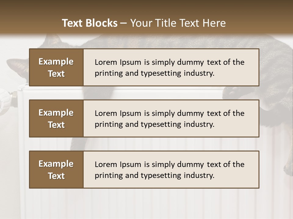 Relaxation Multi Colored Sleeping Cat PowerPoint Template