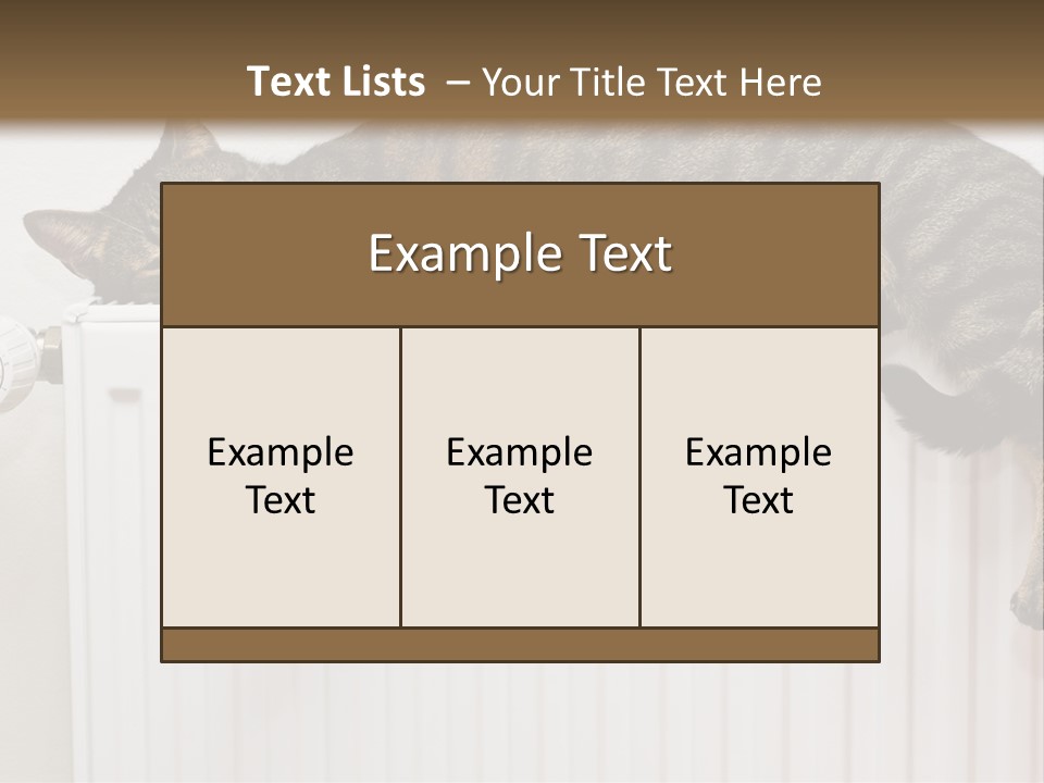 Relaxation Multi Colored Sleeping Cat PowerPoint Template