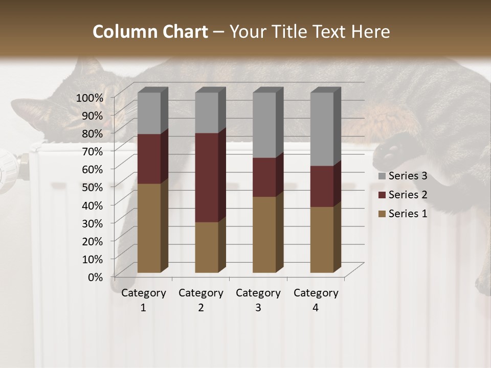 Relaxation Multi Colored Sleeping Cat PowerPoint Template