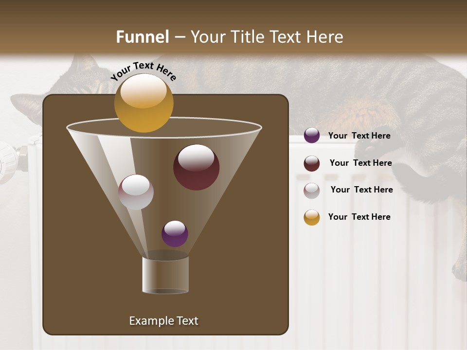 Relaxation Multi Colored Sleeping Cat PowerPoint Template