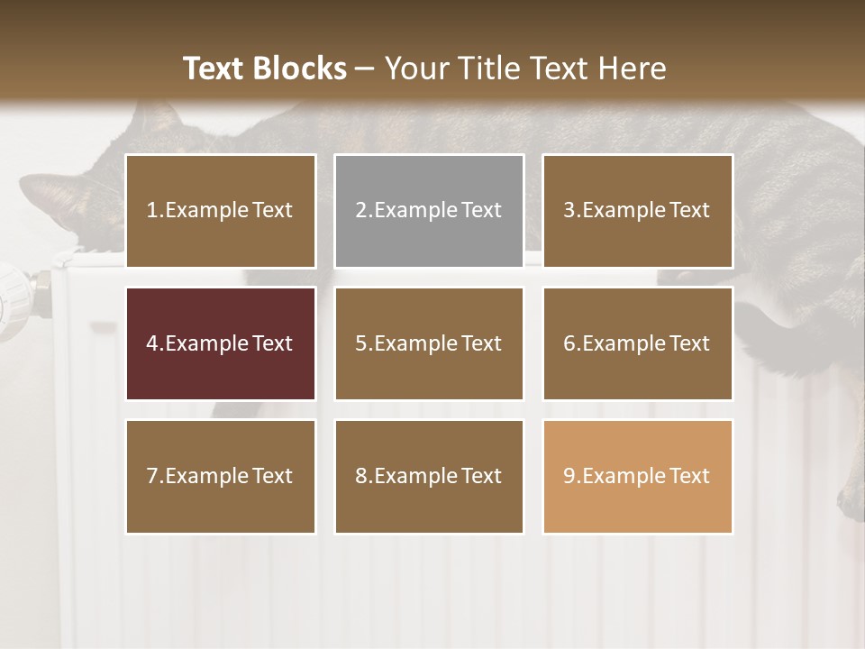 Relaxation Multi Colored Sleeping Cat PowerPoint Template