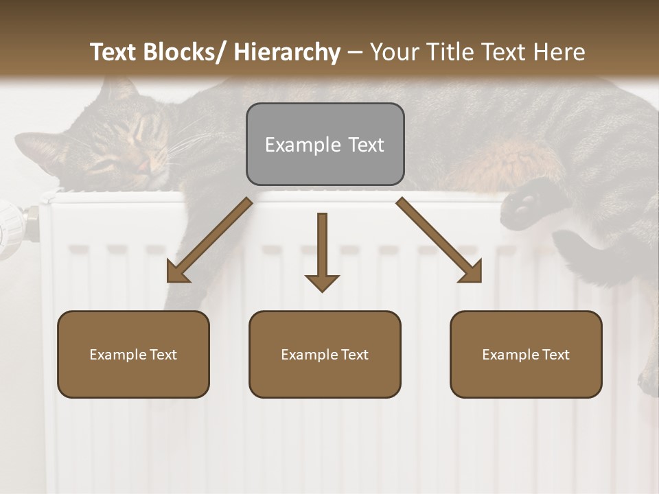 Relaxation Multi Colored Sleeping Cat PowerPoint Template