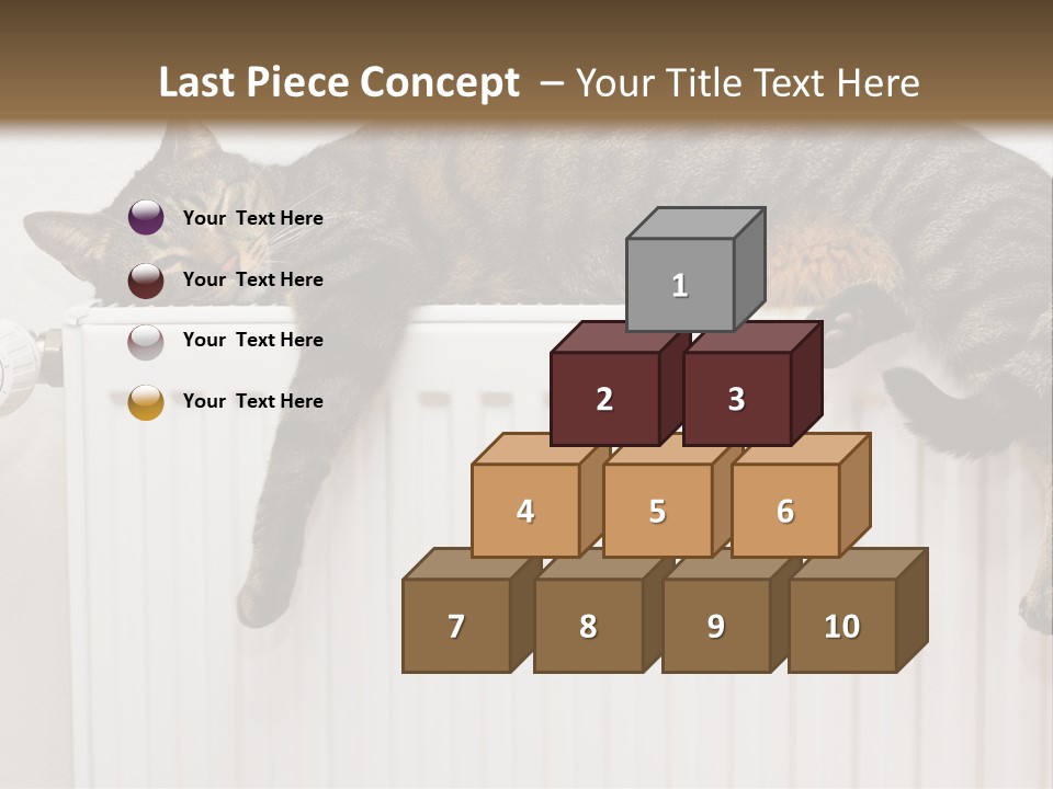 Relaxation Multi Colored Sleeping Cat PowerPoint Template