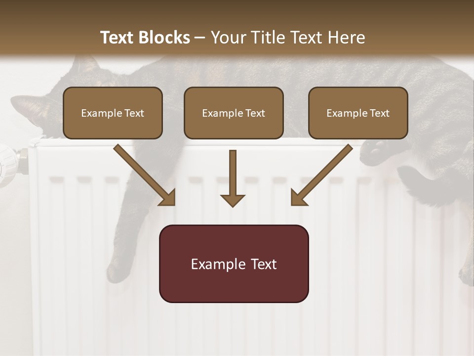 Relaxation Multi Colored Sleeping Cat PowerPoint Template