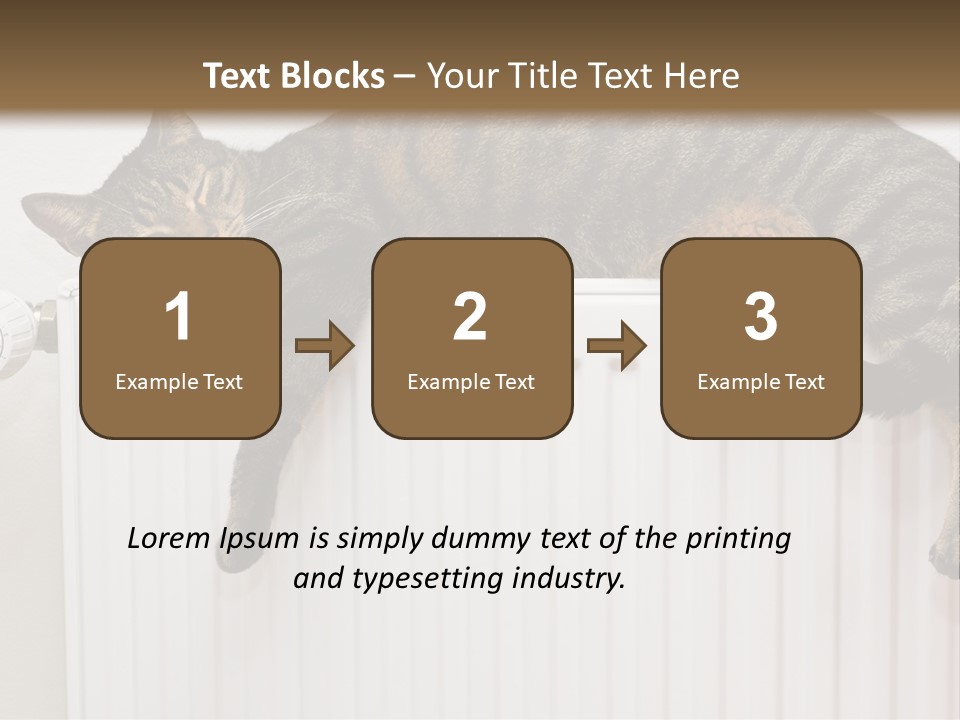 Relaxation Multi Colored Sleeping Cat PowerPoint Template