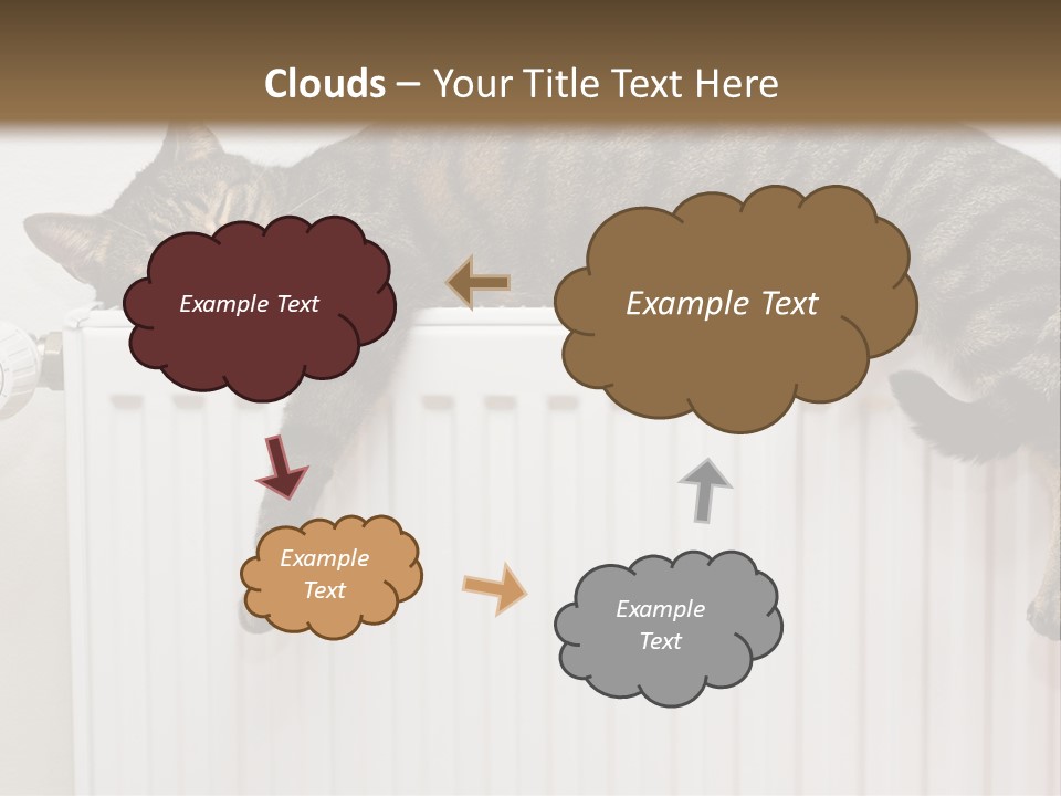 Relaxation Multi Colored Sleeping Cat PowerPoint Template