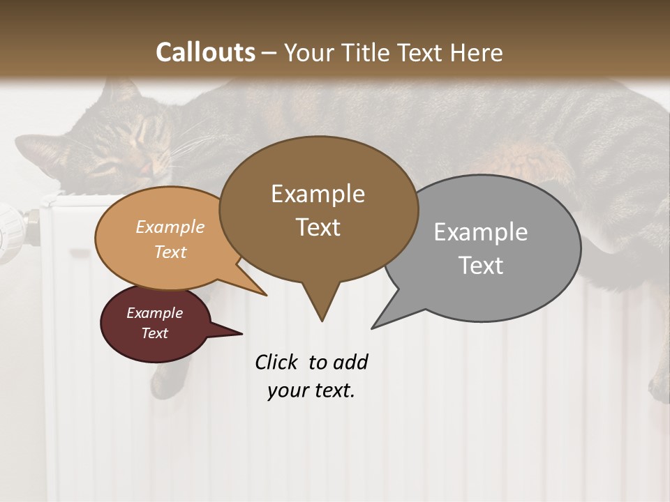 Relaxation Multi Colored Sleeping Cat PowerPoint Template