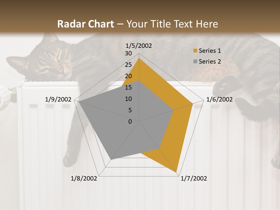 Relaxation Multi Colored Sleeping Cat PowerPoint Template