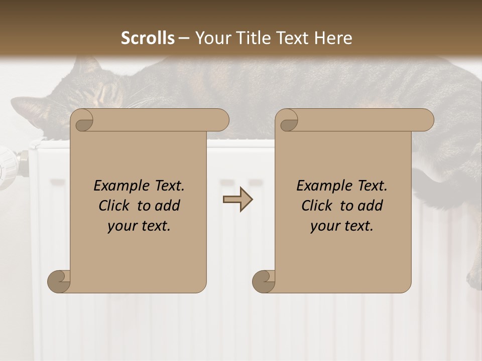 Relaxation Multi Colored Sleeping Cat PowerPoint Template