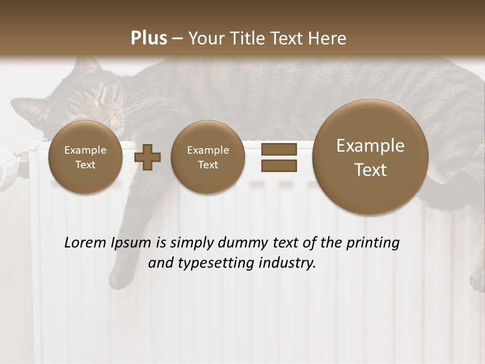 Relaxation Multi Colored Sleeping Cat PowerPoint Template