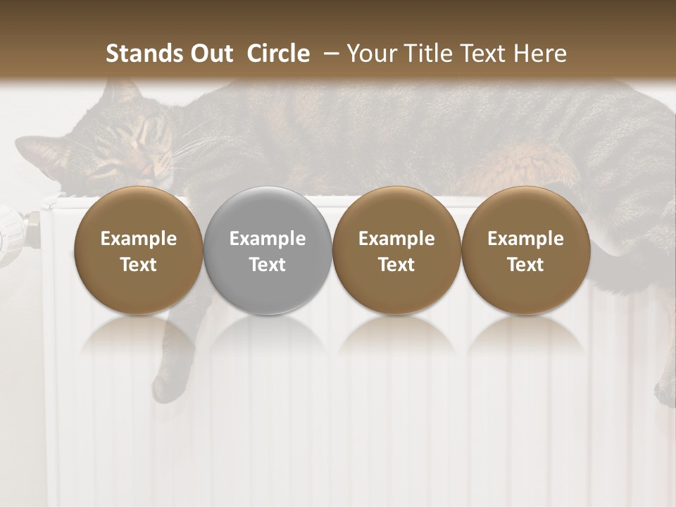 Relaxation Multi Colored Sleeping Cat PowerPoint Template