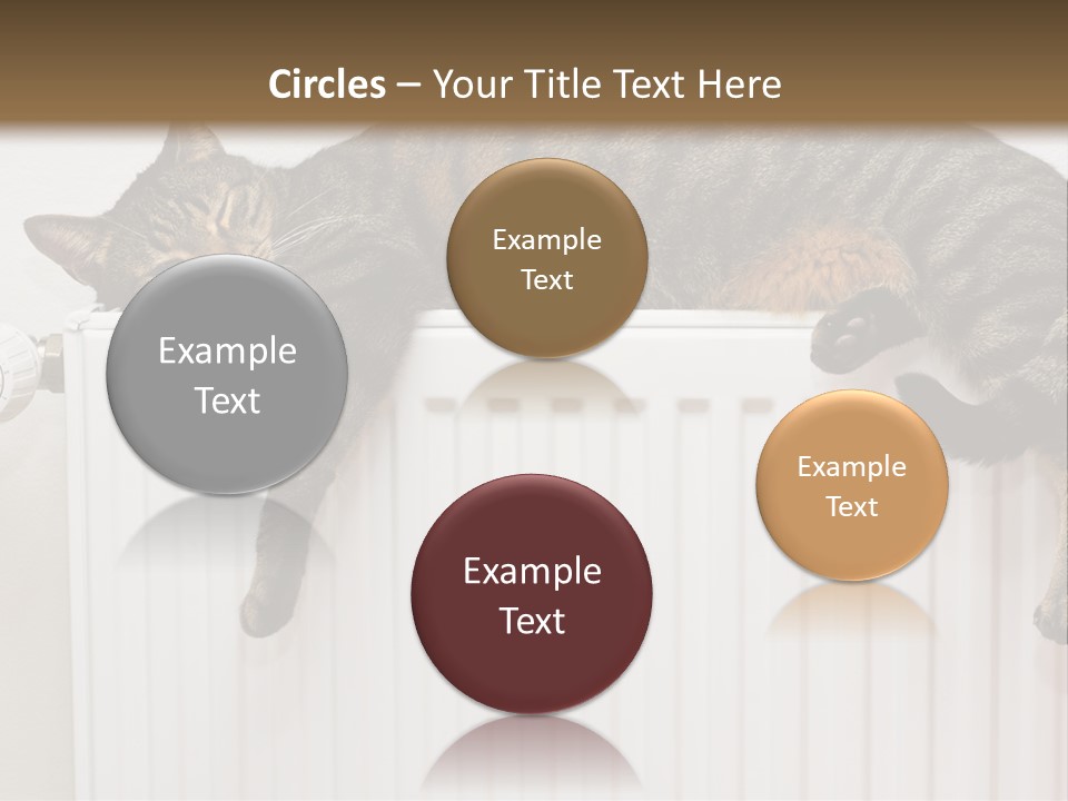 Relaxation Multi Colored Sleeping Cat PowerPoint Template