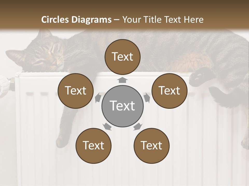 Relaxation Multi Colored Sleeping Cat PowerPoint Template