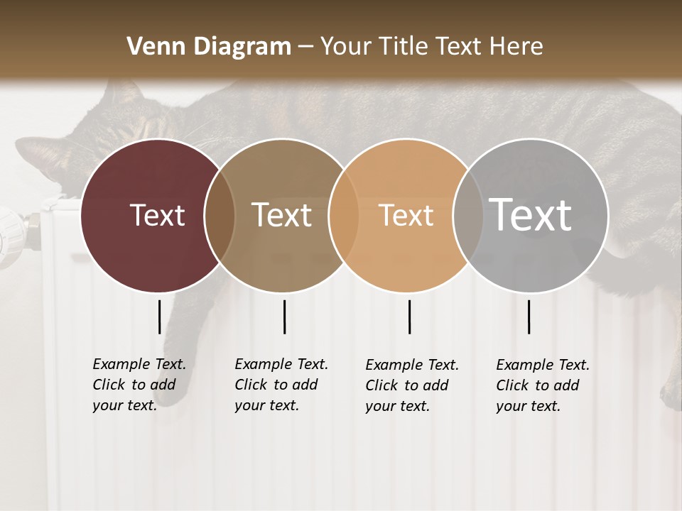 Relaxation Multi Colored Sleeping Cat PowerPoint Template