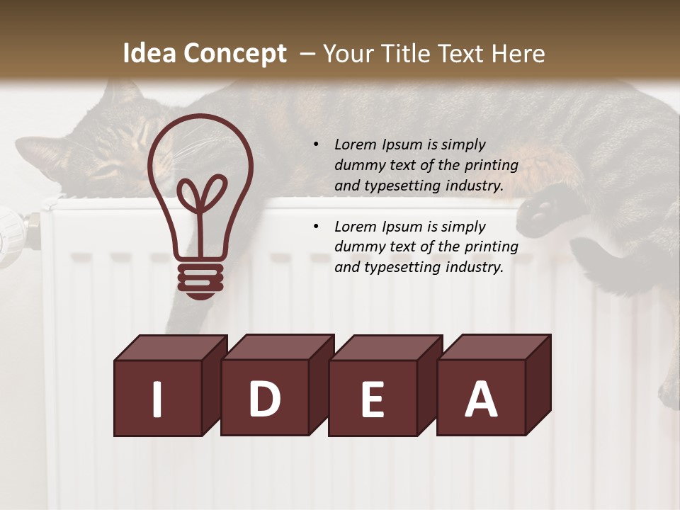 Relaxation Multi Colored Sleeping Cat PowerPoint Template