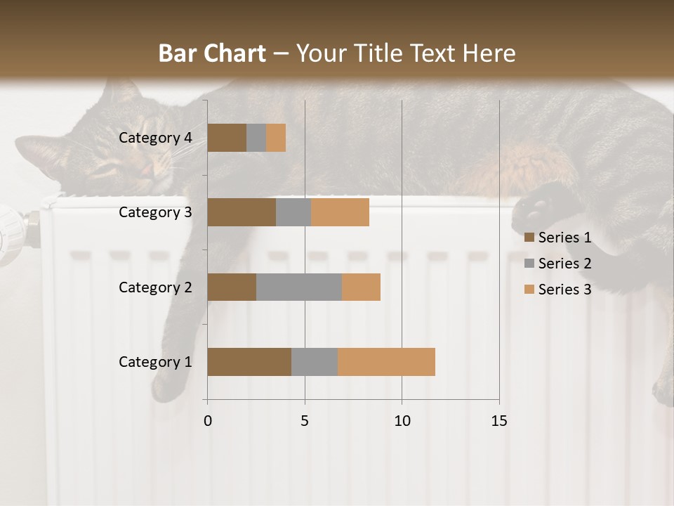 Relaxation Multi Colored Sleeping Cat PowerPoint Template