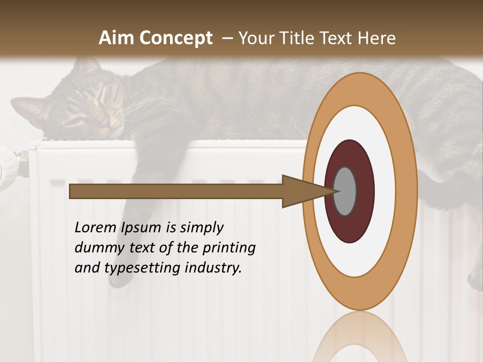 Relaxation Multi Colored Sleeping Cat PowerPoint Template