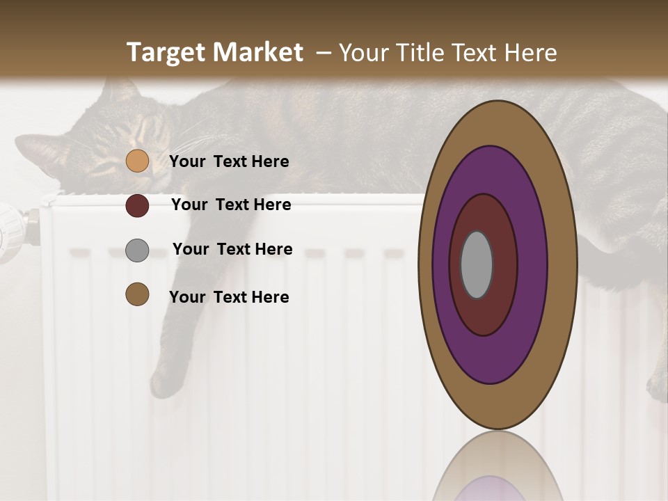 Relaxation Multi Colored Sleeping Cat PowerPoint Template