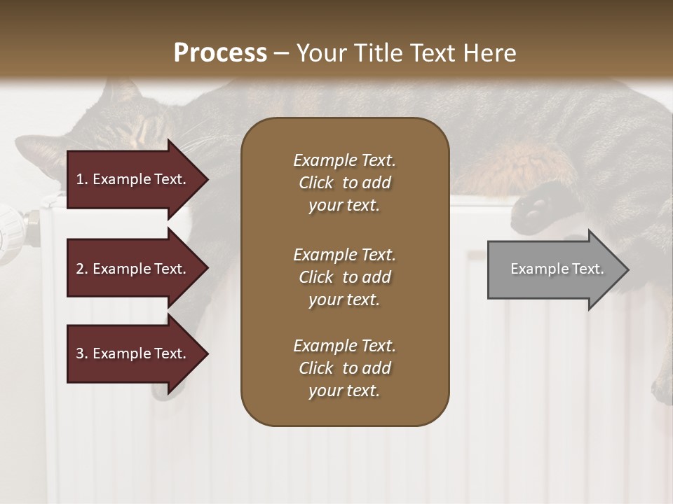 Relaxation Multi Colored Sleeping Cat PowerPoint Template