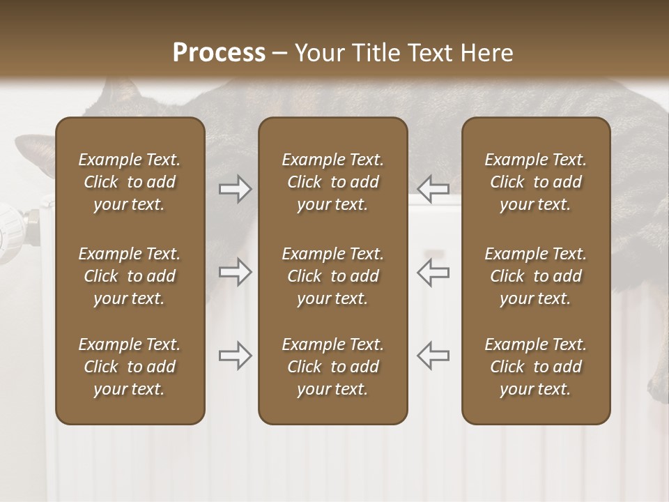 Relaxation Multi Colored Sleeping Cat PowerPoint Template
