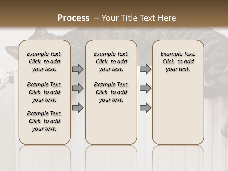 Relaxation Multi Colored Sleeping Cat PowerPoint Template