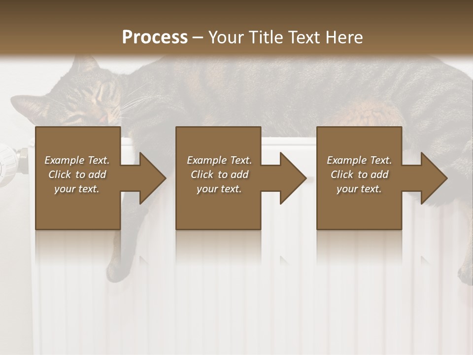 Relaxation Multi Colored Sleeping Cat PowerPoint Template