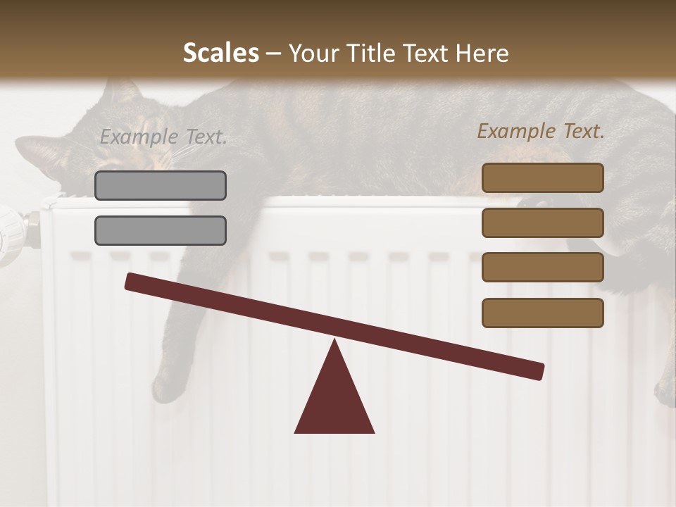 Relaxation Multi Colored Sleeping Cat PowerPoint Template